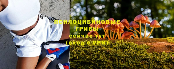 винт Богданович