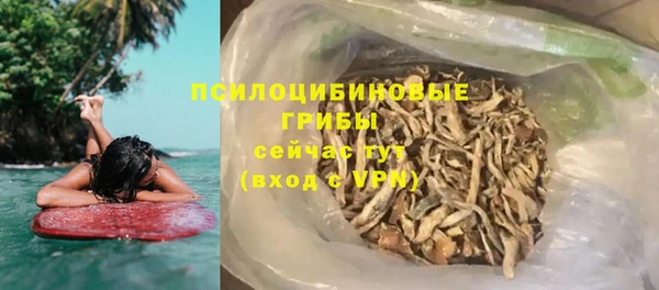 дживик Баксан