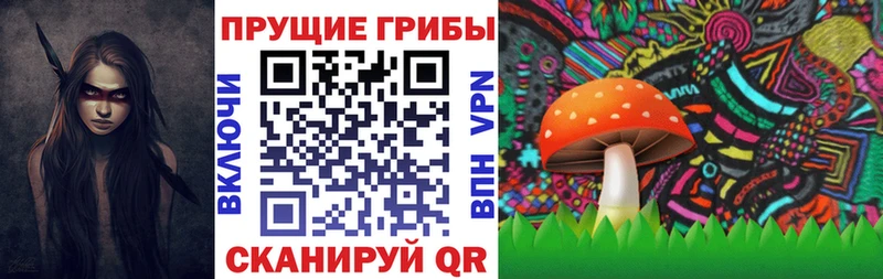 Псилоцибиновые грибы Psilocybine cubensis хочу Буй